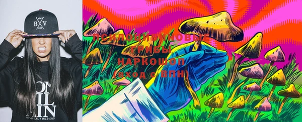 бошки Осинники