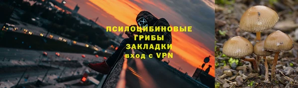 трава Осташков