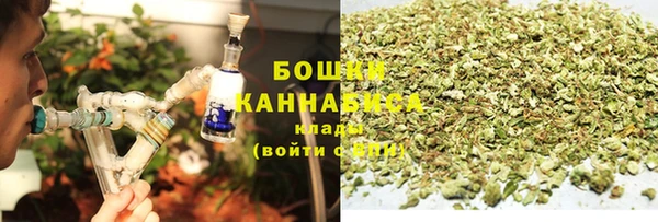 бошки Осинники