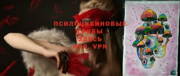 бошки Осинники