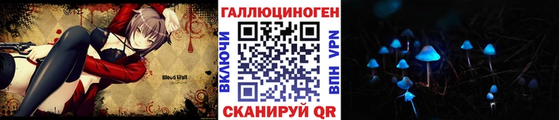 Псилоцибиновые грибы Psilocybine cubensis  даркнет сайт  Новосиль 